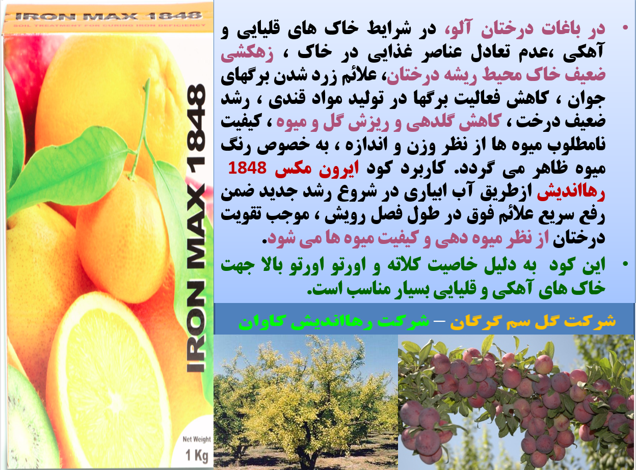 کود آهن ایرون مکس رهااندیش برای تقویت گلدهی و میوه دهی درختان آلو- قسمت اول 123